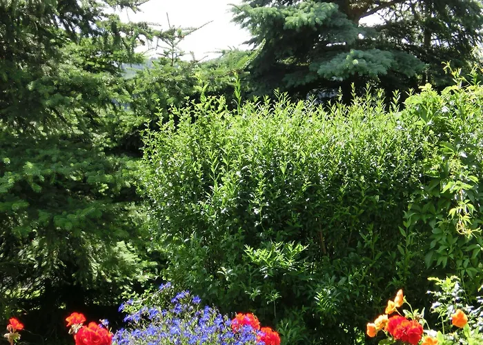 In Harz Mit Garten Cattenstedt