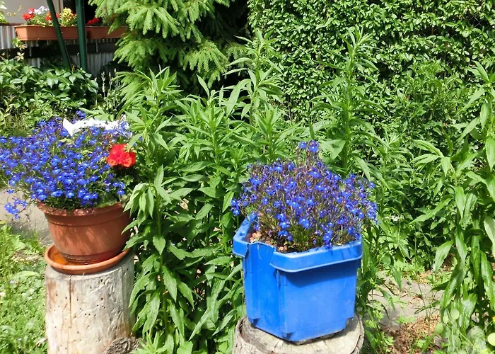 Nyaraló In Harz Mit Garten Cattenstedt