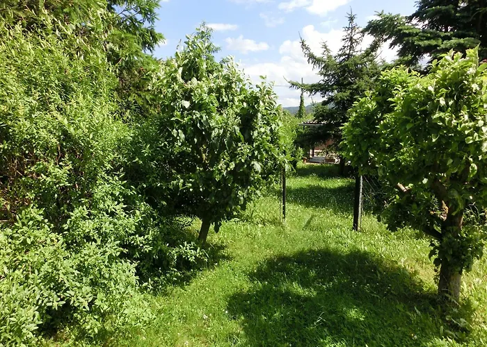 Nyaraló In Harz Mit Garten